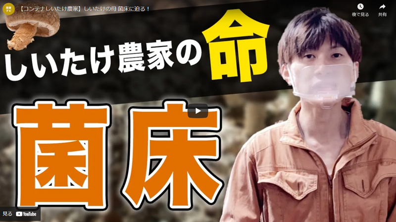 【コンテナしいたけ農家】しいたけの母 菌床に迫る！