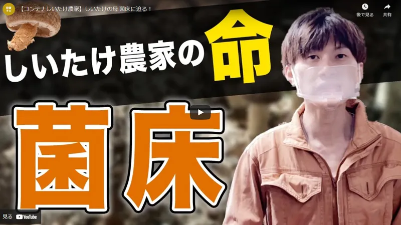 【コンテナしいたけ農家】しいたけの母 菌床に迫る！