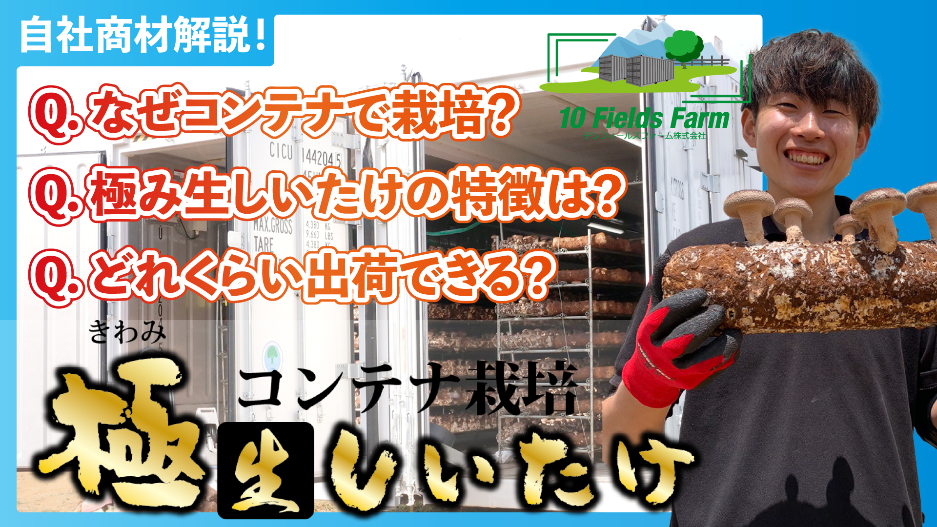 【自社商材解説】コンテナ温室事業で何をしてるの？→しいたけを作っています！弊社の「コンテナ栽培しいたけ」を解説します！【極み生しいたけ】
