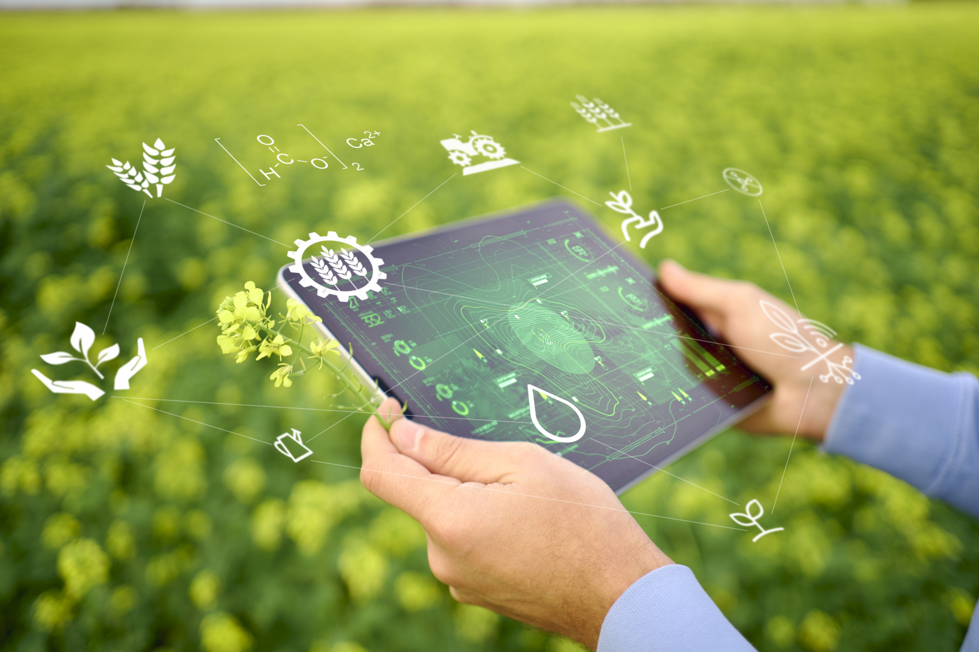 タブレットとスマート農業CG