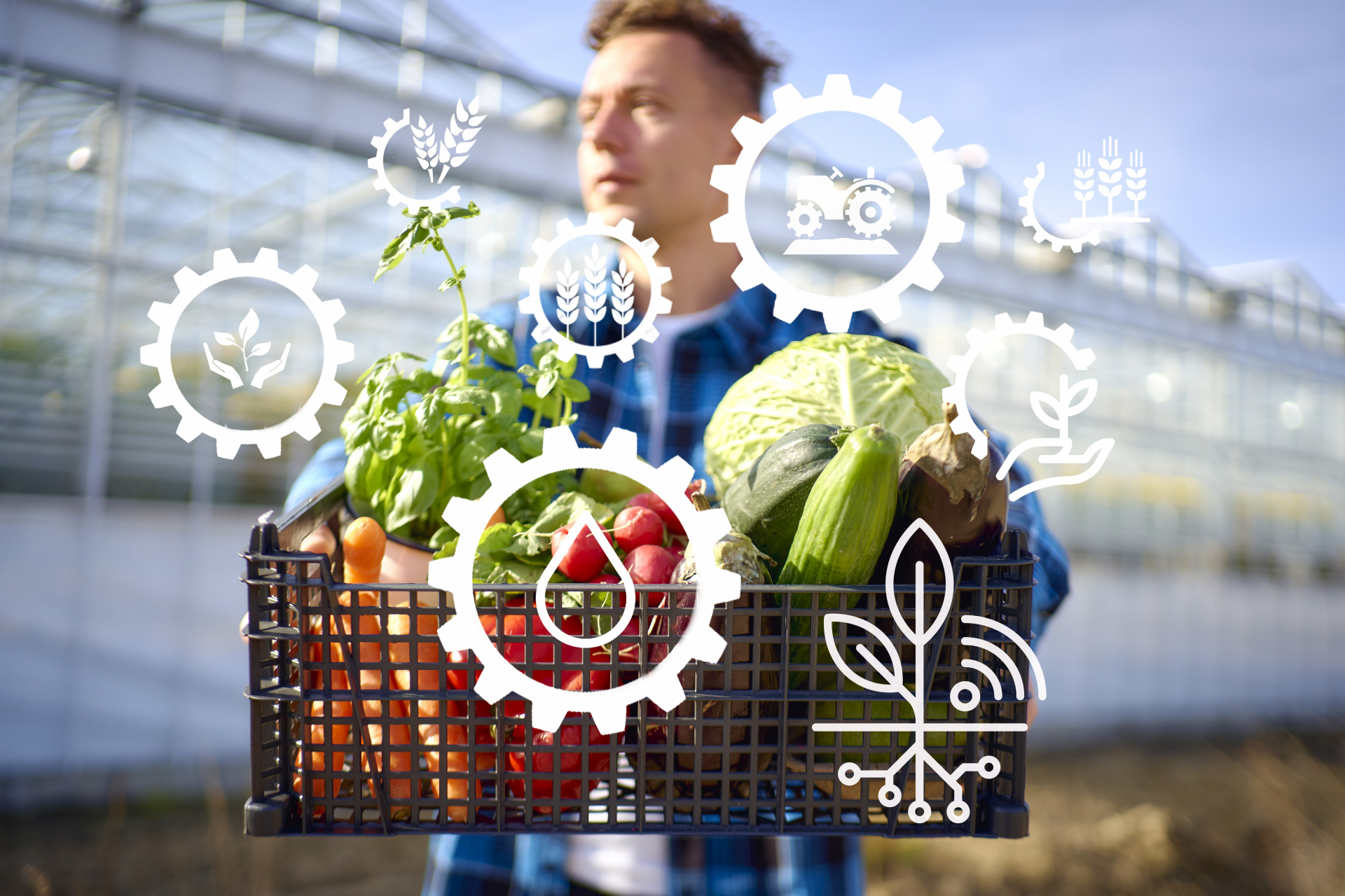収穫した野菜とアイコン