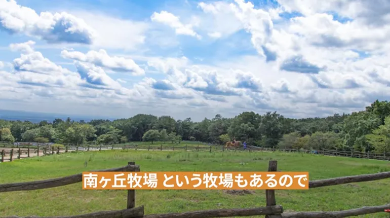 南ヶ丘牧場