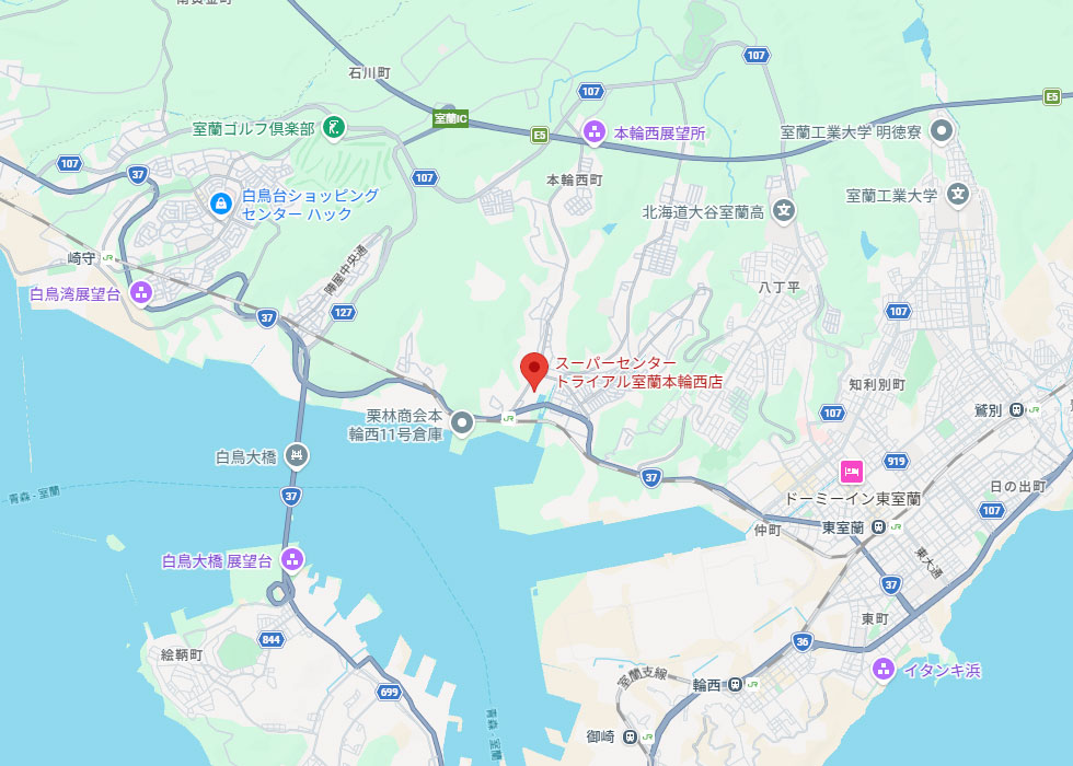 設置予定地周辺の地図